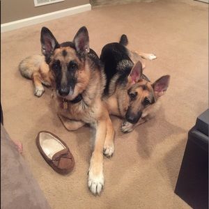 Meet your Posher, John